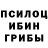 Псилоцибиновые грибы прущие грибы Wolf QwQ