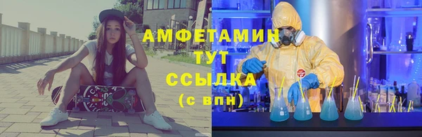 ГАЛЛЮЦИНОГЕННЫЕ ГРИБЫ Алзамай