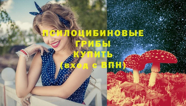 МДПВ Алексин