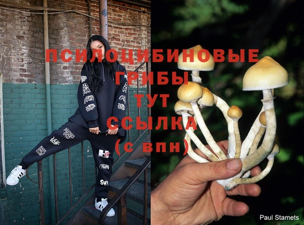 МДПВ Алексин