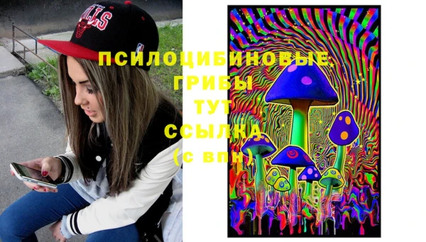 МДПВ Алексин